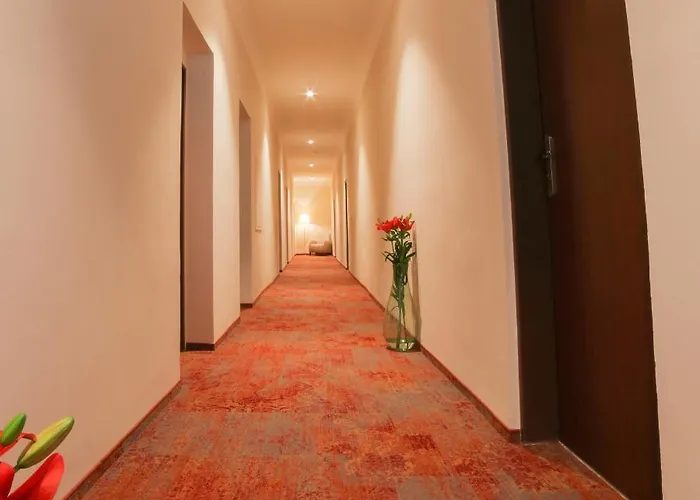 Kozak برنو