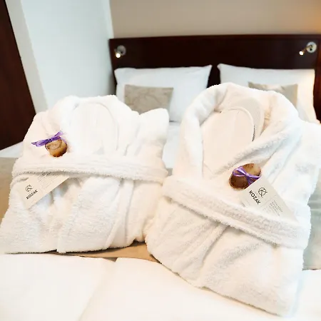 Kozák Szálloda Brünn (Brno)